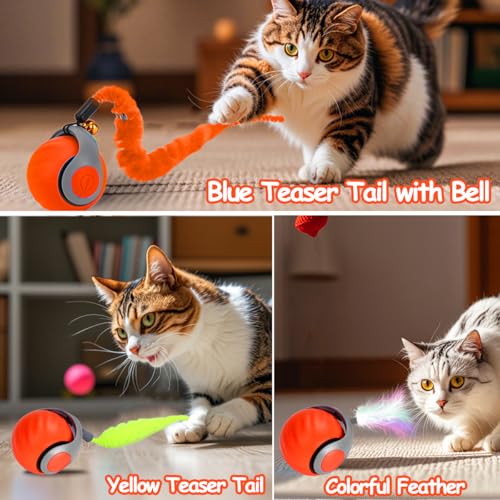 Mity rain Interactive Cat Toy Ball, Rechargeable Cat Toys for Indoor Cats - color: Orange