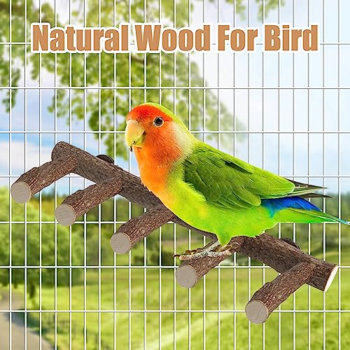 Parrot Wood Stand, Parrots Perch for Cage, Natural Bird Ladder