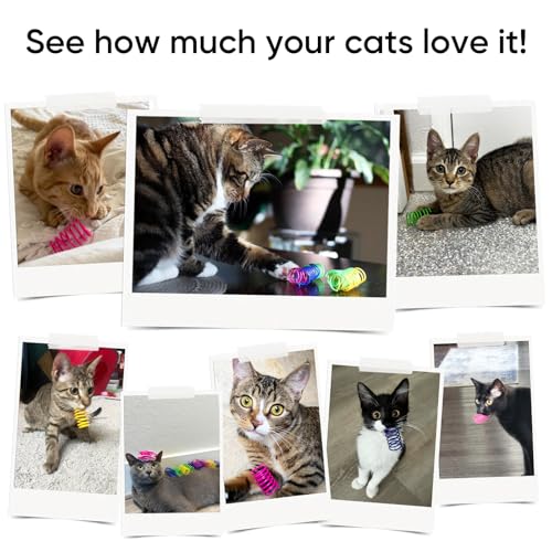 Cat Toys for Indoor Cats, 24 Pack Interactive Cat Spring Toys - color: 4-Color, size: 24 Packs