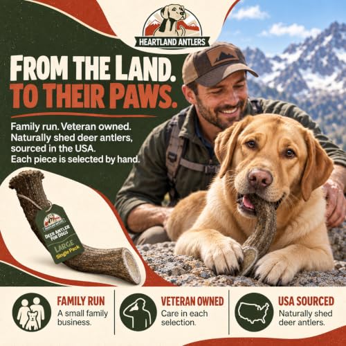 Heartland Antlers Whole Deer Antler Dog Chew for Aggressive Chewers - style: Large (Dogs 45-65 lbs)