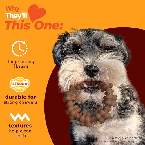 Nylabone Strong Chew Ring Dog Toy Made with Real Beef & Chicken, Small Dogs - color: Textured Ring, size: Small