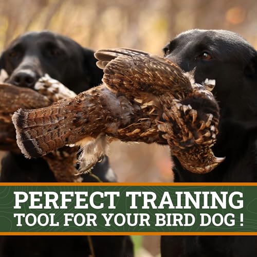 Dog Training Scent for Hunting Dogs - Great Nosework for a Duck or Bird Dog - style: Grouse