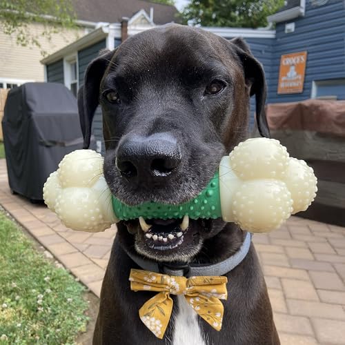 Nylabone Power Chew Double Action Barbell Bone Dog Chew Toy, X-Large - size: X-Large