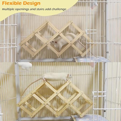 Kiln-Dried Wood Rat Climb Toy, Hanging Cage Ladder Activity (M, 1Pc) - style: M, 1pc