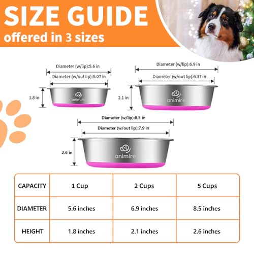 2-in-1 Metal Dog Bowl with Slow Feeder Insert, Stainless Steel Dog Bowls Food Grade 304, Water Food Bowl with Anti-Slip Silicone Base for Small, Medium, Large Dogs - color: Purple, size: 5 Cups