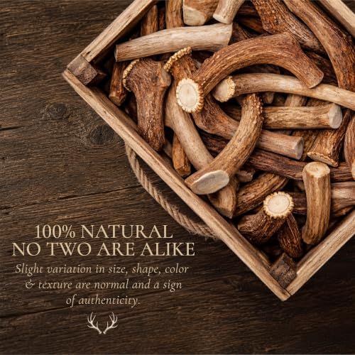 WhiteTail Naturals Whole Deer Antlers for Dogs, 1 lb Bulk Pack Antler Chews - style: Deer - Whole