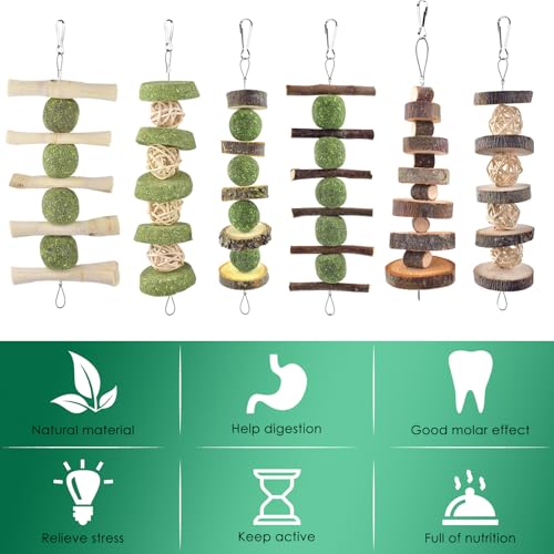 ERKOON Bunny Chew Toys, Rabbit Chew Toys for Teeth Grinding, Improve Dental Health, 100% Natural Apple Wood Timothy Grass Cake Treats for Rabbits Guinea Pigs Chinchillas Bunnies Hamsters (9 Pcs) - style: 9 Pcs