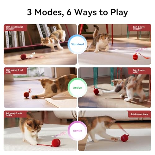 Cheerble 2 in 1 Interactive Cat Toys for Indoor Cats - Wicked Ball Duo2 Automatic Cat Toy, Dual Interchangeable Shells, Electric Moving Cat Ball with Tail & Chirping Sounds, Red