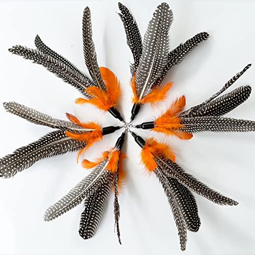 Cat Feather Toys Refill, 6 Pieces Cat Wand Attachments Da Bird Feathers Toy for Indoor Cats - color: 6 PCS Cat Toy Feather Refills