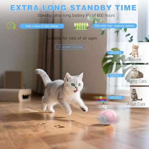 Upgraded 2.36 Inch Large Interactive Cat Toys Ball for Indoor Cats, Pink - color: Pink