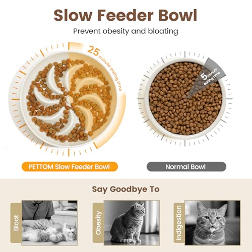 PETTOM Slow Feeder Cat Bowl Elevated Ceramic with Bamboo Stand, Lotus - color: Lotus