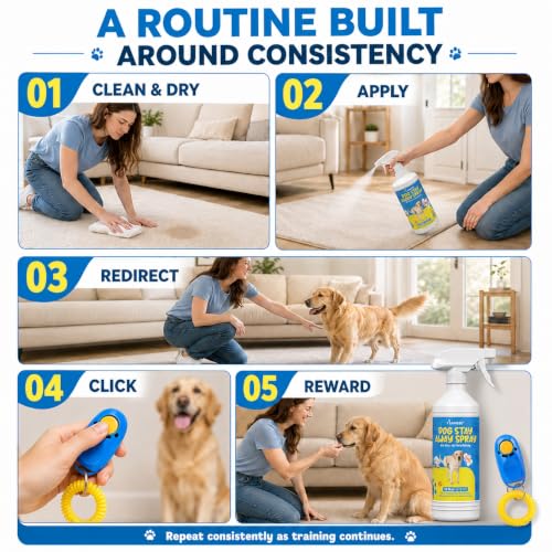 Dog Potty Training Solution, Indoor & Outdoor, 16 Fl Oz - size: 16.0 Fl Oz
