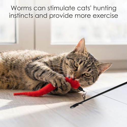 10 PCS Cat Wand Toy Set with Worm & Little Fish, Cat Worm Toy