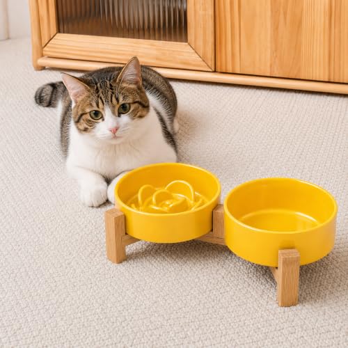 Ceramic Slow Feeder Dog Bowls with Raised Stand, 0.9 Cups Elevated Slow Feeding Bowl for Small Dogs and Cats, Non-Slip Pet Food Dish Helps Reduce Gulping and Bloating - color: Yellow, size: 5.1 inch