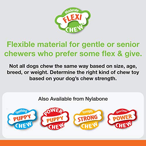 Nylabone Flexi Chew Small Dog Value Pack Dog Toys with Chew Treat, 3 Count - size: X-Small