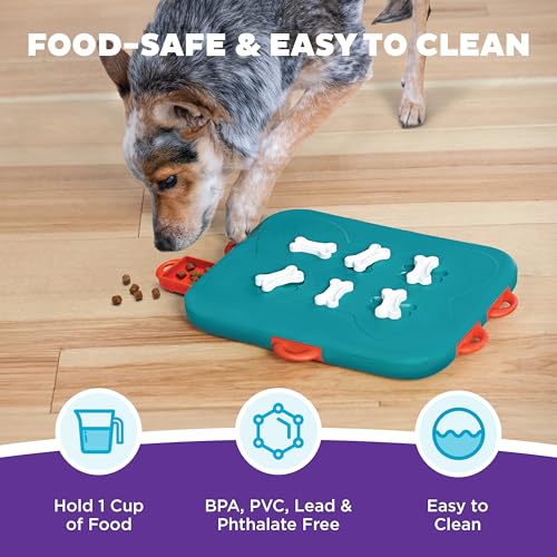 Outward Hound Nina Ottosson Dog Casino Dog Toy Treat Puzzle, 14" - color: Dog Casino (Blue, Orange), size: 1 Count (Pack of 1)