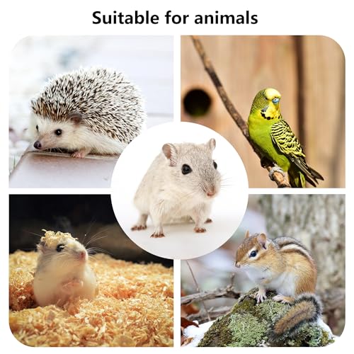 Hamster Wooden Platform with Legs, Small - color: Platform-Small