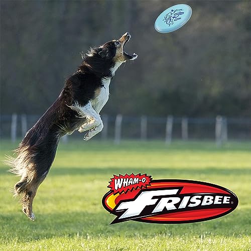 Wham-O Frisbee Cool Flyer - 130 Grams -9.95" Flying Disc - Disc Golf - Lightweight Durable Disc Set - color: 3 Pack ( Grey + Green + Blue )