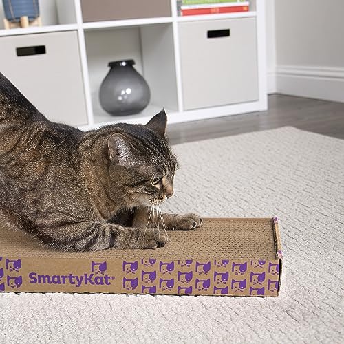 SmartyKat Super Scratcher Corrugated Cat Scratcher and Scratch Pad for Cats, Catnip Infused with Catnip, Scratchers for Indoor Cats and Kittens, Cardboard Scratching Post (Pack of 12) - size: (Pack of 12), style: Rectangle Scratcher