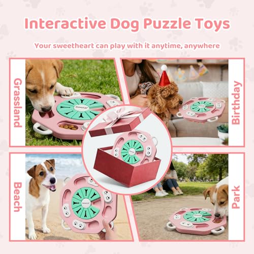 MateeyLife Dog Puzzle Toy, Interactive Dog Toys to Keep Them Busy, Enrichment Toys for Dogs, Treat Dispensing Dogs Toy with Slow Feeder for Smart Breeds, IQ Training, 2 Levels, 2 Packs