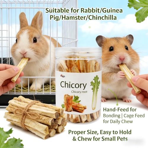 Guinea Pig Chews, Premium Chicory Chew Sticks for Rabbits, Guinea Pig Toys 100% Natural Digestive Aid, Dental Health, Anxiety Relief Chew Toys - Safe Fiber Snack for Rabbit, Chinchilla, Hamster, Rat