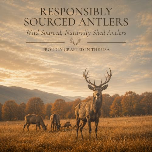 WhiteTail Naturals 2 Pack Whole Deer Antlers for Medium Dogs - 5-6 Inches - size: Medium (Pack of 2)