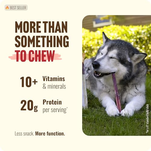 Natural Farm Odor-Free Bully Sticks (12 Inch, 12 Pack), 1.2 lbs. Per Bag, 100% Beef Pizzle Chews, Grass-Fed, Non-GMO, Fully Digestible Long Lasting Best Dental Treats to Keep Your Dogs Busy - size: 12" Standard - 12 Count