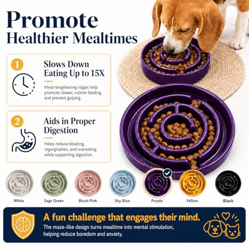 Ceramic Slow Feeder Dog Bowl, 1.5 Cup Puzzle Dish for Small Medium Dogs - color: Ceramic-Purple