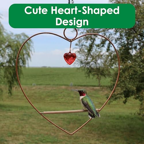 Songbird Essentials Tweet Heart Hummingbird Swing - Copper - Wooden Dowel - color: Copper