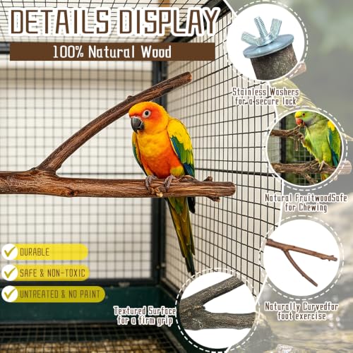 Bird Perch Swing for Cage Accessories - Natural Wood Parrot Perch for Parakeet Budgie Cockatiel Toys