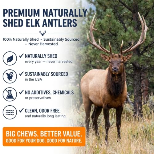 K9warehouse Mixed Elk Antlers for Dogs, Split & Whole, Large 7 Pack, 1.5lbs