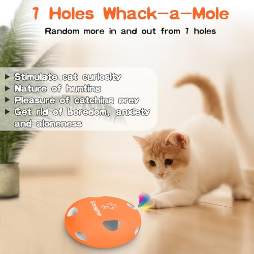 Cat Toys, Rechargeable Interactive Cat Toy, Orange - color: Orange