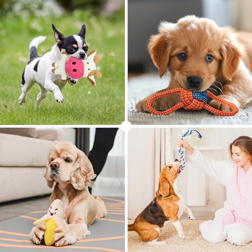 Toozey 8 Pack Small Dog Toys, Squeaky Plush Puppy Toys & Durable Rope Toys
