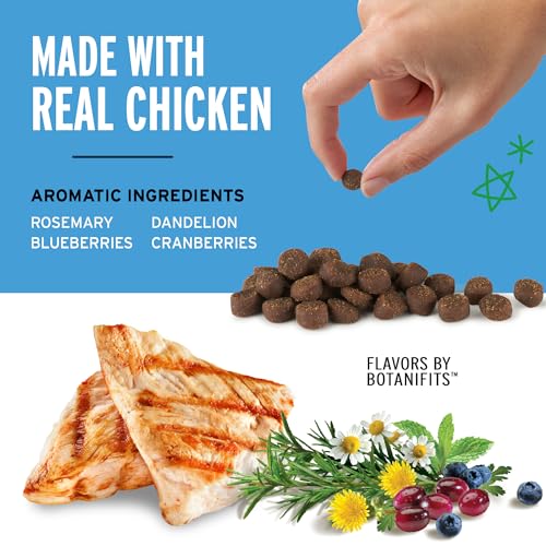 Pet Botanics 4 oz. Pouch Training Rewards Mini Soft & Chewy, Chicken Flavor, with 200 Treats Per Bag, The Choice of Top Trainers - size: 4 Ounce (Pack of 1)