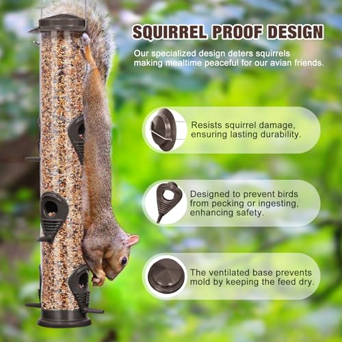 ERYTLLY Metal Bird Feeders - Tube Feeder for Wild Birds, 1.4mm Thick Transparent Tube, Squirrel Proof Hanger - color: Coffee-Metal 6 Feeding Ports