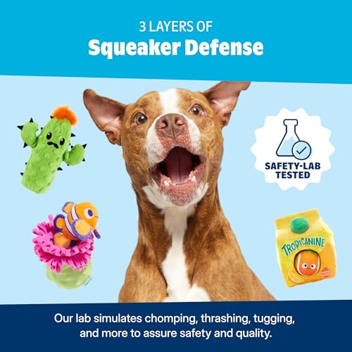 BarkBox Play Hatch Rubber Tennis Balls - for Dogs - color: Play Hatch
