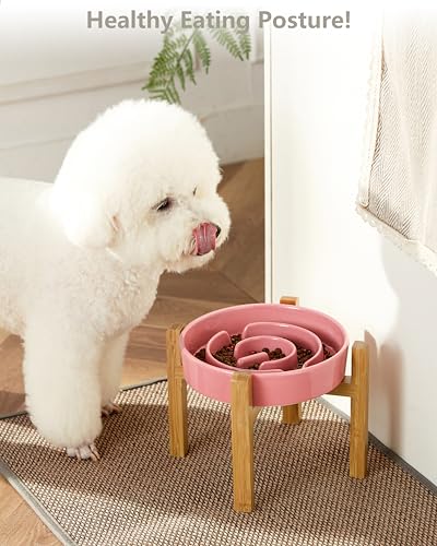 Ceramic Slow Feeder Dog Bowls Elevated, 2.0 Cups Slow Feeder for Medium Dogs, Puzzle Maze Bowl to Slow Down Eating, 30oz, 8in, Pink - color: Pink + Stand, size: 8 Inches