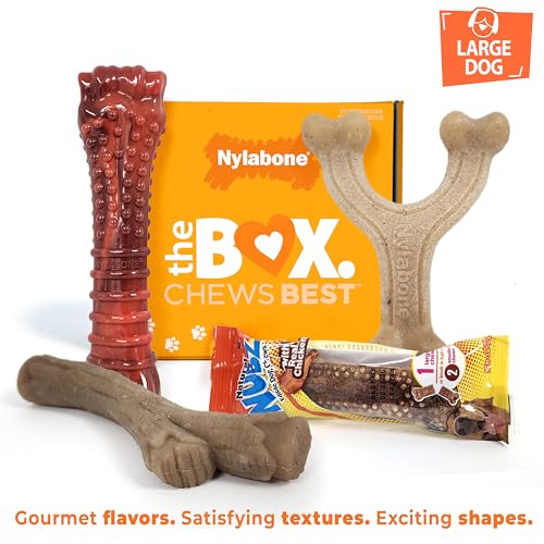 Nylabone Dog Gift Box, Strong Chew Toys & Treat, Large, 4 Count - size: Large (4 Count)