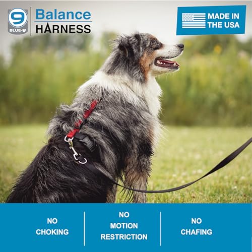 Blue-9 Balance Harness® for Dogs, No-Pull, Buckle-Neck, Training, Blue, M/Large - color: Blue, size: M/L (Ribcage: 24"-35.5")