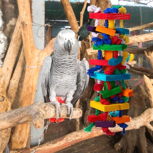 Soulchen 4 Pcs Extra Large Bird Parrot Toy Set, Natural Wooden Chewing Toy - style: Colorful Ring