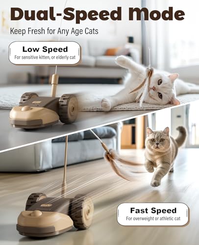 CYROS 3-in-1 Interactive Cat Toy - 2-Speed Automatic Moving Mouse Cat Toys Self Play with 2pcs Hanging Feather String Ribbon and Wiggly Silicone Mice Tail for Bored Indoor Adult Cats Kittens - color: Brown