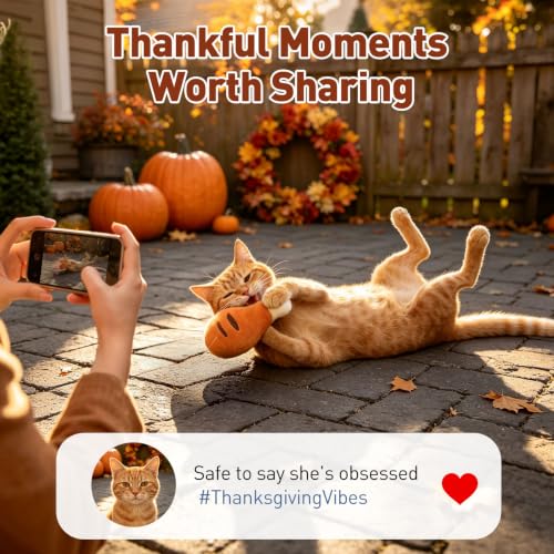 CiyvoLyeen Plush Thanksgiving Catnip Toys for Indoor Cats 6 Pack - color: Thanksgiving - 6Pcs