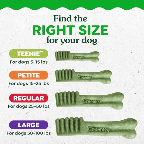 Greenies Large Natural Dental Dog Treats, Original Flavor, 17 Count - size: 17 Count (Pack of 1)