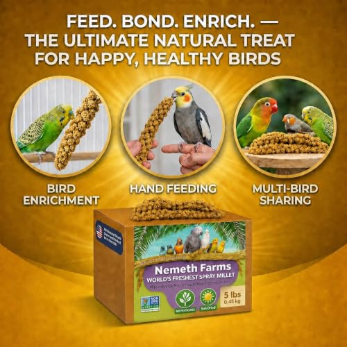 Nemeth Farms Spray Millet - Edible Tops Only, Non-GMO and Sun-Dried - 5 lbs for Parakeets, Conures and Cockatiels - size: 5 Pound (Pack of 1)