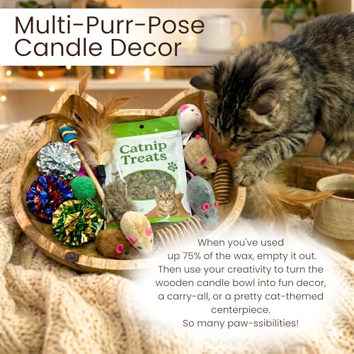 Dough Bowl Candle Co. Pet Odor Eliminator for Home - 10x10 Large Cat-Shaped Odor Absorber, 6 Wick Soy Wax Scented Candles, Pet Deodorizer Aromatherapy Candle with 70H Burn Time for Cat or Dog Smell - style: Cat Candle