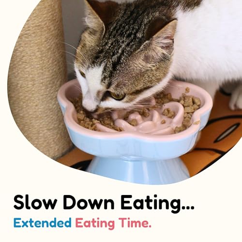 Detachable Slow Feeder Cat Bowl, Melamine Elevated Cat Bowls - Heavy Weighted, Tilted Raised Slow Feeder, Non-Slip Small Dogs Slow Feeders Bowl, Dry & Wet Food, Whisker Friendly(Pink, 5.8" - color: Pink, size: 5.8"