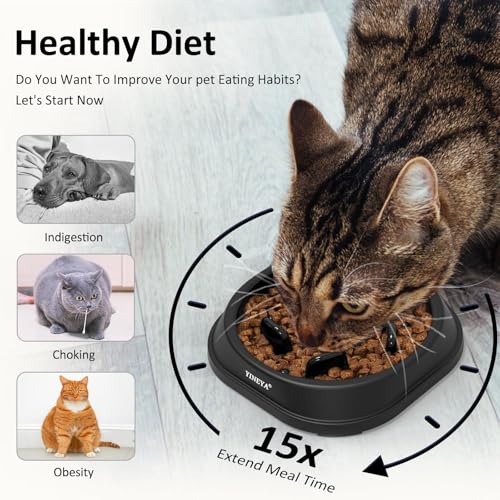YINEYA Anti-Choking Slow Feeder Dog Bowls Small Size Dog, Slow Feeder Cat Bowl, Supplies and Puzzle for Pet - color: G - Black, size: Small