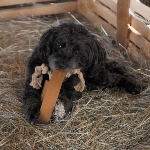 Yellowstone, Plush & Chew Toys for Dogs, Variety Gift Set, Cowboy Bundle - style: Cowboy Boot Bundle