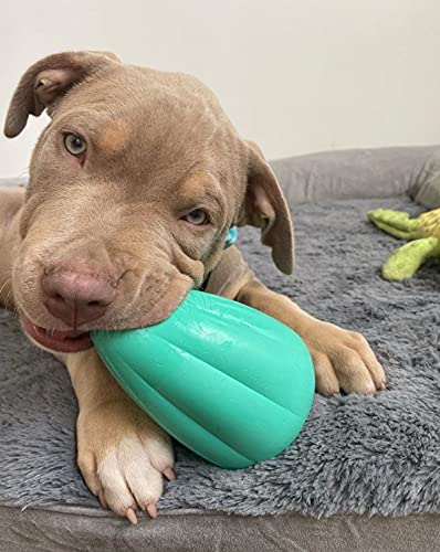 Chew King by Mammoth Premium Treat Dispensing Dog Toy, Durable Natural Rubber Chew Toy, Safety Air Vent, Interactive Enrichment Toy for Aggressive Chewers, Medium Pack of 2- Teal - color: 2-Pack Treater (Teal), size: Medium