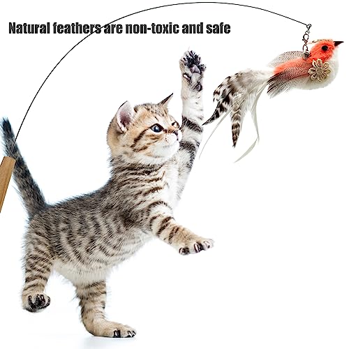 Cat Feather Toys Refill, 5 Pieces Attachments Feathers Bird for Cat Wand - color: 5PCS Cat Feather Bird Refills